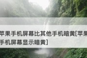 苹果手机屏幕突然变暗的解决方法（探索屏幕变暗的原因及应对措施）