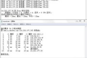 全面了解CMD中的Ping命令（掌握Ping命令的功能）