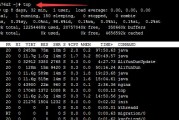 Linux系统中查看CPU信息的方法（详细介绍Linux命令行和图形界面下查看CPU信息的方法）