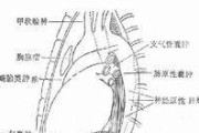 万和热水器故障E9的维修方法（感温探头故障是故障E9的主要原因）