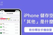 卸载app和删除app的区别（探究苹果手机卸载和删除app的不同方式）