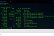 深入20和UOS个人版（探索最适合你的Linux发行版）