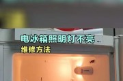 西门子冰箱灯不亮的原因及解决方法（探究西门子冰箱灯不亮的常见问题和解决方案）