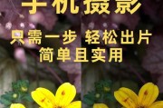 苹果相机为什么拍照丑陋？（探索苹果相机拍照质量不佳的原因与解决方案）