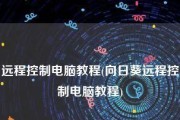 怎么远程控制电脑办公（关于远程连接电脑的方式）