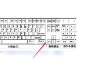 电脑打字入门指南（从零基础到熟练掌握电脑打字技巧）