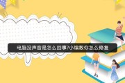 解决台式电脑重装系统后音箱无声的问题（音箱无声解决方法及步骤详解）