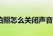 如何关闭苹果手机微信拍照声音（快速了解关闭方法）