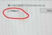 电脑隐藏文件夹恢复可见的方法（揭秘隐藏文件夹的神秘面纱）