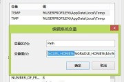 掌握Windows网络诊断和配置命令的必备知识（新手网络配置命令的全面指南）