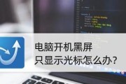 电脑黑屏无信号的解决方法（应对电脑黑屏无信号的常见故障和解决办法）