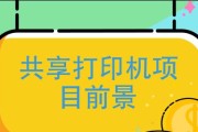 共享打印机字体过小的解决方法（如何调整共享打印机的字体大小）