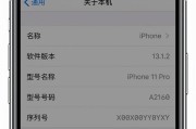 揭秘iPhone手机序列号的含义解析（透过序列号了解iPhone手机的生产信息）