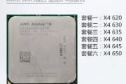 AMD四核八线处理器推荐？哪款性能最好且价格合理？