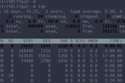 Linux系统中查看CPU和内存的命令及用途（用一键提升系统性能的工具完美解决内存紧张和CPU占用率过高问题）