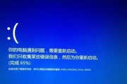 电脑蓝屏无法启动解决方法（应对蓝屏死机情况的有效措施）