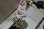蒸汽清洗热水器水垢方法（有效去除水垢）