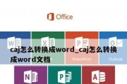 从知网论文CAJ到Word