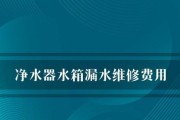 净水器水箱裂痕的原因与处理方法（如何预防和修复净水器水箱裂痕）