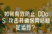 防御DDoS攻击的有效方法（保护网络安全的关键措施及实施方法）