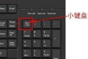 键盘被锁了无法打字怎么办（解决键盘被锁问题的实用方法）