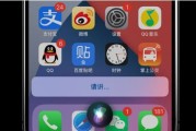 如何解决iPhone来电时黑屏问题（iPhone来电时屏幕黑屏处理方法，教你应对突发情况）