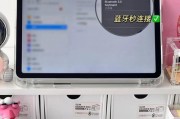 探究iPad没有声音的原因及解决方法（分析iPad静音问题的可能原因）