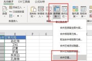 如何使用Excel表格进行加密保护数据（掌握Excel表格加密方法）