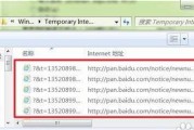 IE临时文件夹缓存的重要性与管理（保护你的浏览体验）