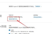 苹果ID服务器连接故障问题分析与解决方法（探究苹果ID服务器连接故障的原因及解决方案）