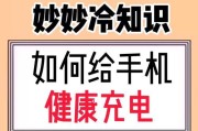 电池健康显示维修情况解析（了解电池健康显示故障及其解决方法）