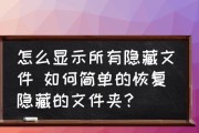 手把手教你调出隐藏的文件夹（解锁电脑隐藏文件夹的小技巧）