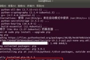 电脑Python安装教程（一步步教你在电脑上安装Python）