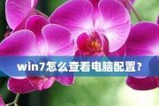 如何查看电脑配置中Win7显卡信息（Win7显卡配置查询方法及注意事项）