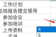 Excel打勾快捷键是什么（学会快速使用Excel的打勾功能）