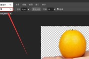 使用PS进行图像抠图换背景的步骤（详细教程帮助您快速掌握抠图技巧）