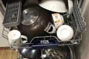 垃圾洗碗机的处理方法（解决垃圾洗碗机的问题有哪些方法）