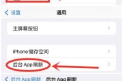 解决苹果手机无法连上WiFi的问题（详解苹果手机无法接入网络的处理方法）