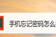 如何破解忘记的OPPO手机锁屏密码？（忘记密码怎么办？教你一招轻松破解！）