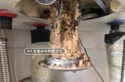 降低热水器清洗成本的方法（省钱又保持热水器清洁的小技巧）