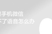 解决苹果手机无法发送短信的问题（探究苹果手机短信发送失败的原因及解决方法）