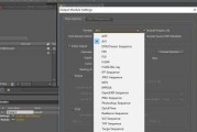 AE软件的视频导出教程（详细步骤教你如何使用AE软件导出视频文件）