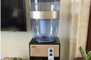 解决饮水机过滤器堵塞问题的方法（快速清理过滤器）