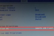 如何将U盘设置为计算机的启动项（通过进入BIOS设置来更改启动项）