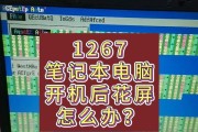 更换电脑内存后花屏问题如何解决？