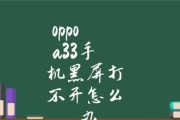 解决oppo手机黑屏问题的方法（如何快速恢复oppo手机黑屏状态）