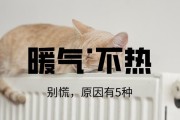 冬天暖气不热怎么办（了解故障原因）