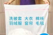 决明子掉进洗衣机，急救措施一键掌握（紧急情况下如何处理决明子掉入洗衣机的意外事故）