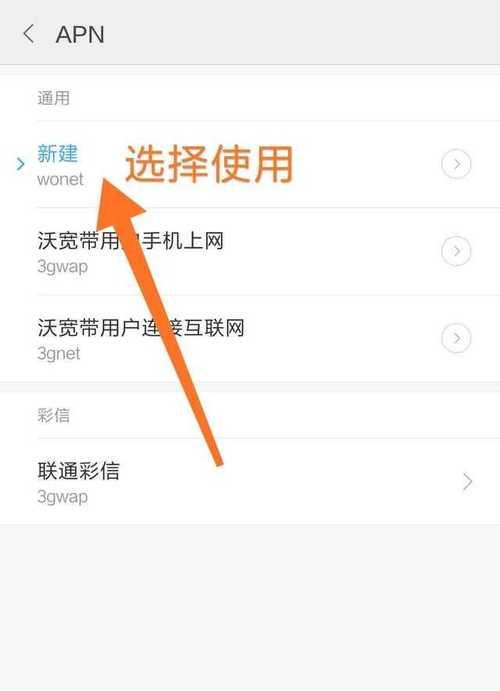 苹果APN设置教程（如何在苹果设备上正确设置APN？）