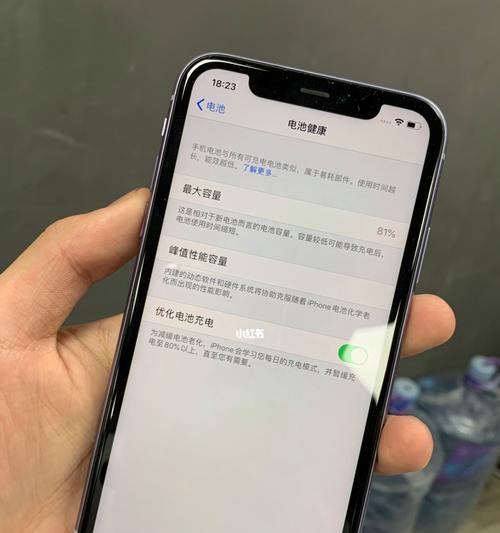 延长苹果手机电池寿命的实用方法（保护苹果手机电池的15个小技巧，助你长久使用）